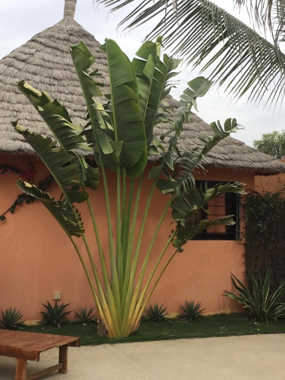 Terra Lodge Sénégal M'Bour Exterior foto