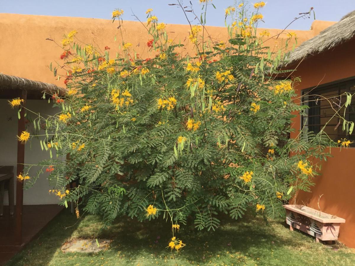 Terra Lodge Sénégal M'Bour Exterior foto
